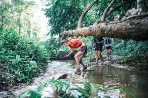 BIB: 
                            <button type="button" onclick="openModal(25435349)" class="btn btn-primary btn-sm float-right btn-popup" data-toggle="modal" data-target=".modal-high-quality">
                        <i class="fas fa-shopping-cart"></i> Add to Cart
                    </button>
                                            <button type="button" onclick="isThisMe(25435349, true)" class="btn btn-success btn-sm float-right btn-popup btn-isme hidden" data-toggle="tooltip" data-placement="bottom" title="นี่คือรูปของคุณใช่ไหม คลิกที่นี่เพื่อเอาเข้าอัลบั้ม">
                        <i class="fas fa-plus"></i> Add to album
                    </button>
                    <button type="button" onclick="isThisMe(25435349, false)" class="btn btn-warning btn-sm float-right btn-popup btn-isnotme hidden">
                        <i class="fas fa-ban"></i> Remove from album
                    </button>